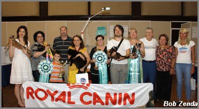 Highest Scoring Cats in Show
